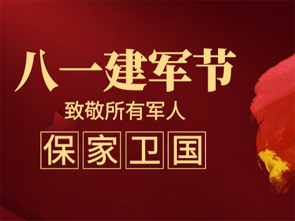 八一建军节|向军人们致敬!